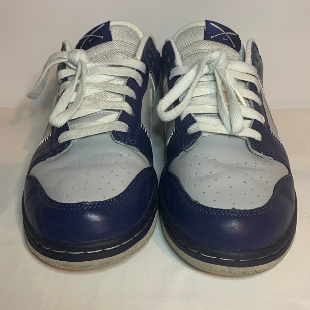 Nike Dunk Low (Blue/Grey)